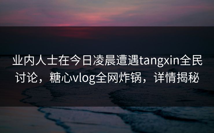 业内人士在今日凌晨遭遇tangxin全民讨论，糖心vlog全网炸锅，详情揭秘