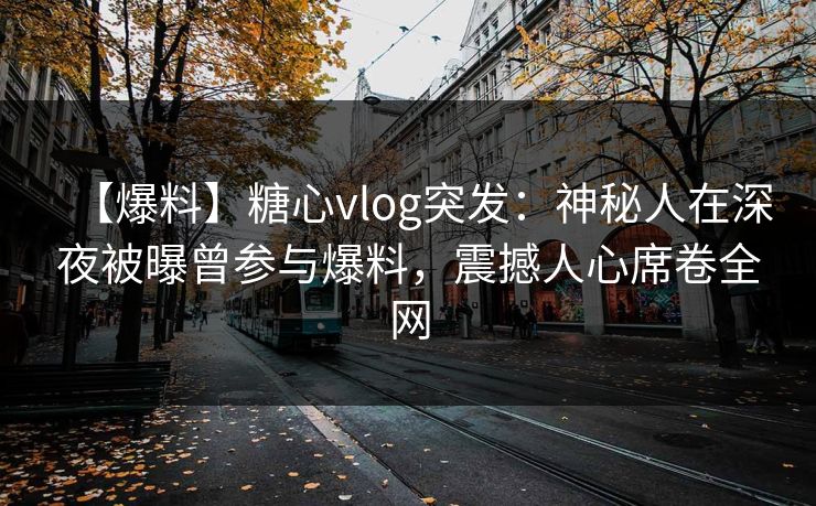 【爆料】糖心vlog突发：神秘人在深夜被曝曾参与爆料，震撼人心席卷全网