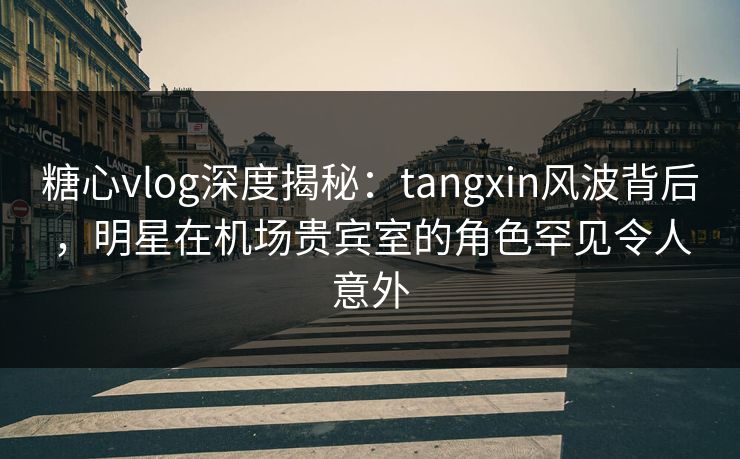 糖心vlog深度揭秘：tangxin风波背后，明星在机场贵宾室的角色罕见令人意外